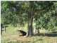 Pomona QLD 4568