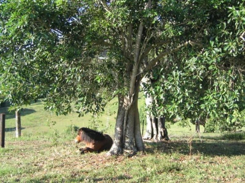 Pomona QLD 4568