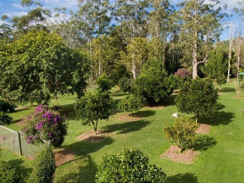 745 Ringtail Creek Road, Pomona QLD 4568