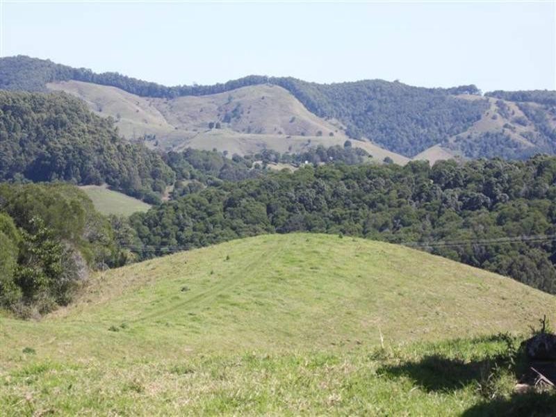 Cooroy QLD 4563