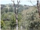 Cooroy QLD 4563