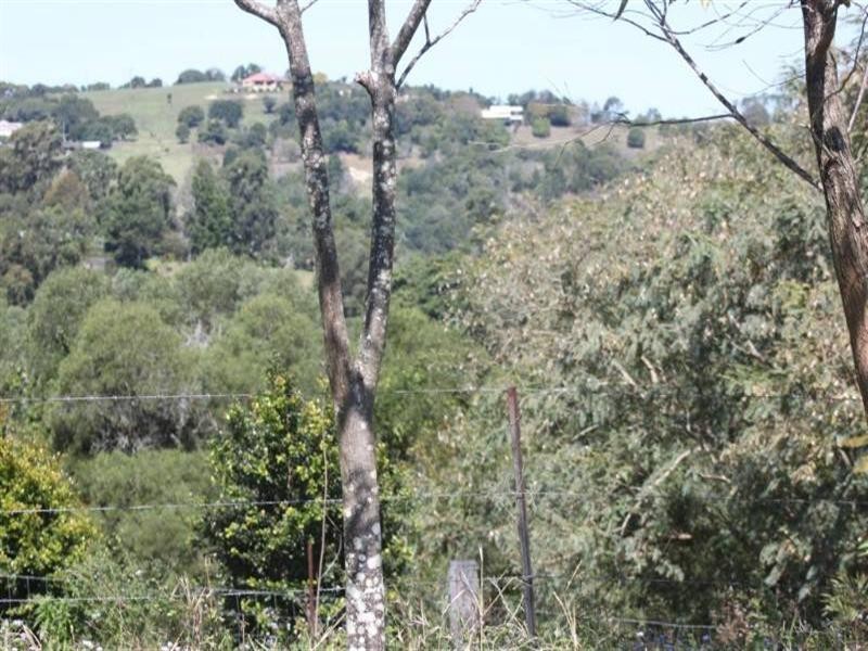 Cooroy QLD 4563