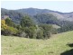 Cooroy QLD 4563