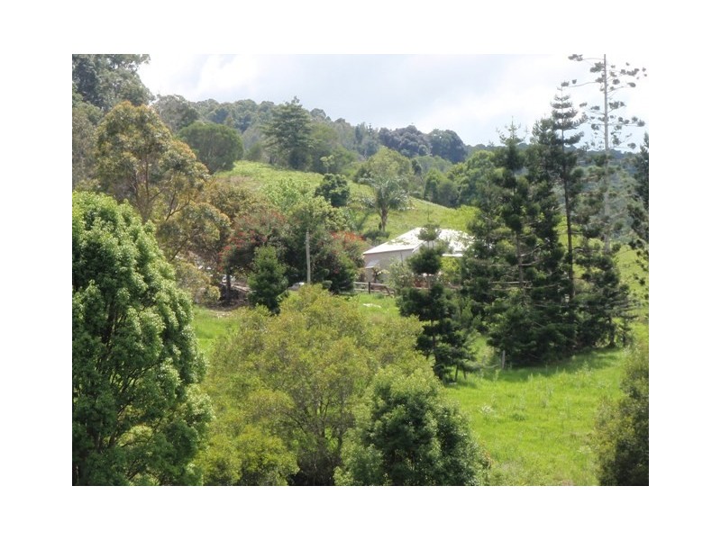 Federal QLD 4568