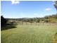 Cooroy QLD 4563