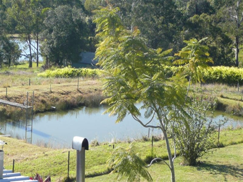 Cooroy QLD 4563