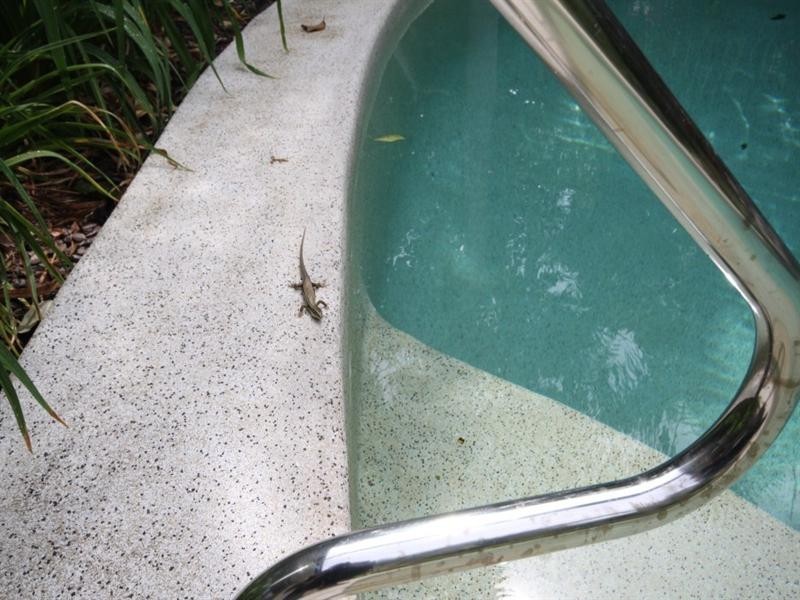Cooroy QLD 4563