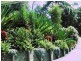 290 Black Mountain Road, Cooroy QLD 4563
