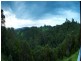 290 Black Mountain Road, Cooroy QLD 4563