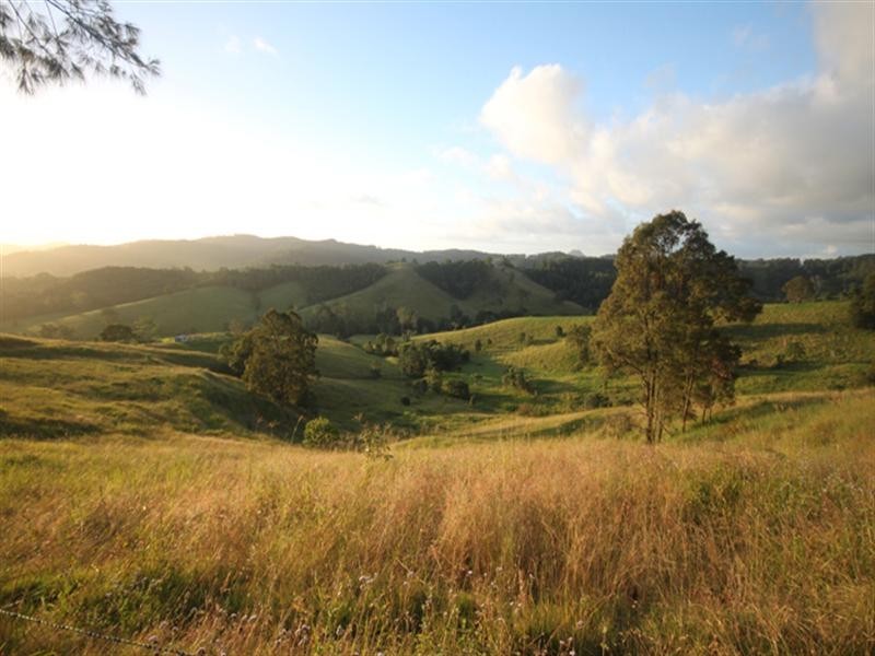 1164 Cooroy-Belli Creek Road, Cooroy QLD 4563