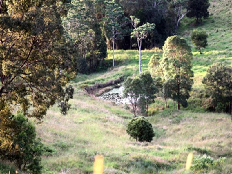 1164 Cooroy-Belli Creek Road, Cooroy QLD 4563