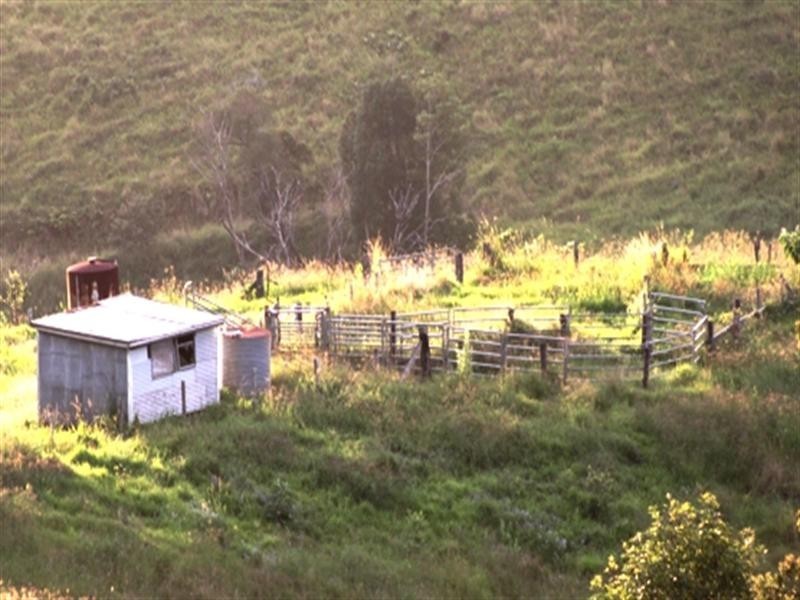 1164 Cooroy-Belli Creek Road, Cooroy QLD 4563