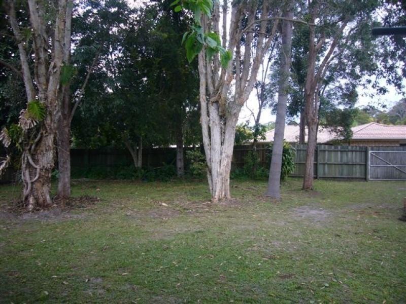 17 Yellowood Close, Tewantin QLD 4565