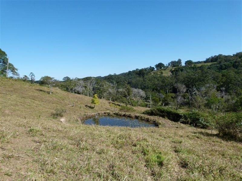 111 Jorgensen Road, Ridgewood QLD 4563