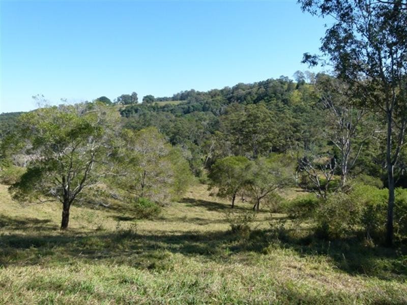 111 Jorgensen Road, Ridgewood QLD 4563