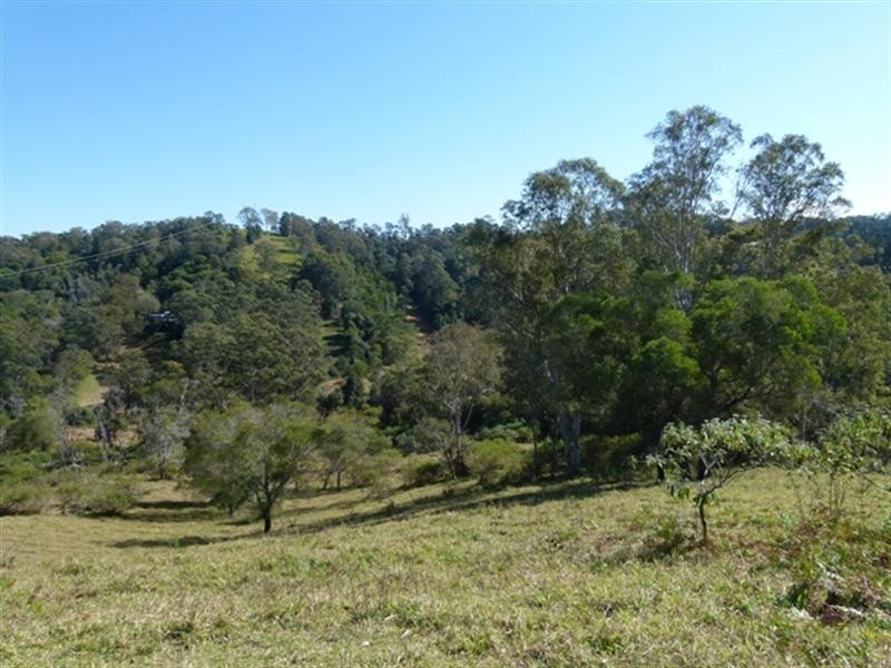 111 Jorgensen Road, Ridgewood QLD 4563