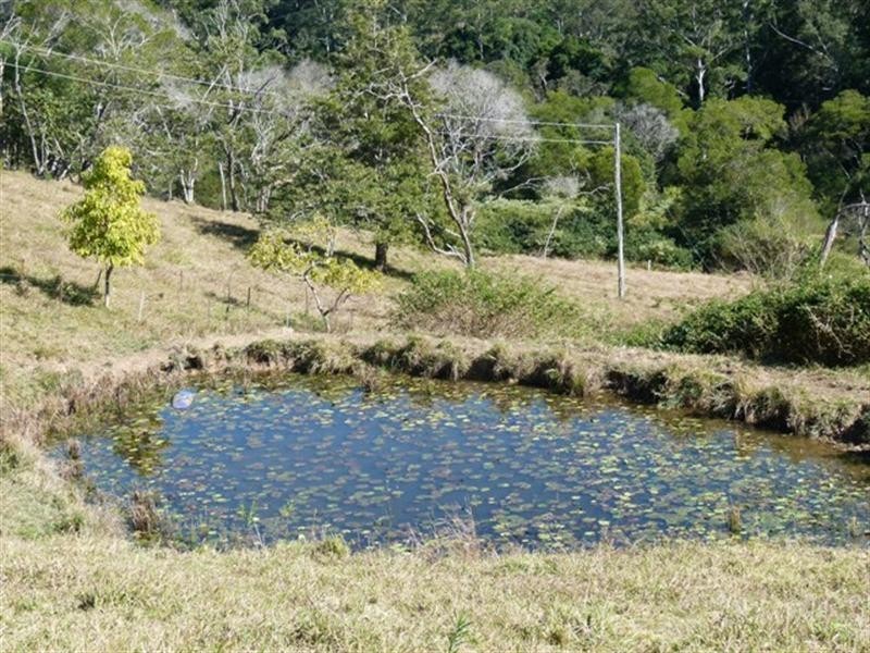 111 Jorgensen Road, Ridgewood QLD 4563