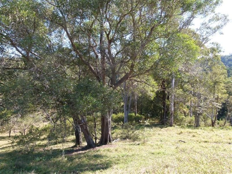 111 Jorgensen Road, Ridgewood QLD 4563