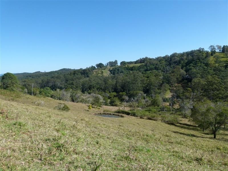 111 Jorgensen Road, Ridgewood QLD 4563