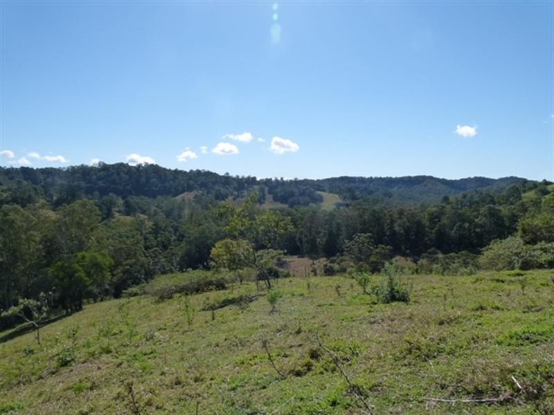 111 Jorgensen Road, Ridgewood QLD 4563