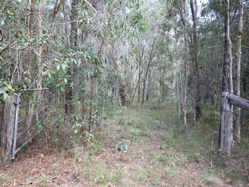 404 Lake Cooroibah Road, Cooroibah QLD 4565