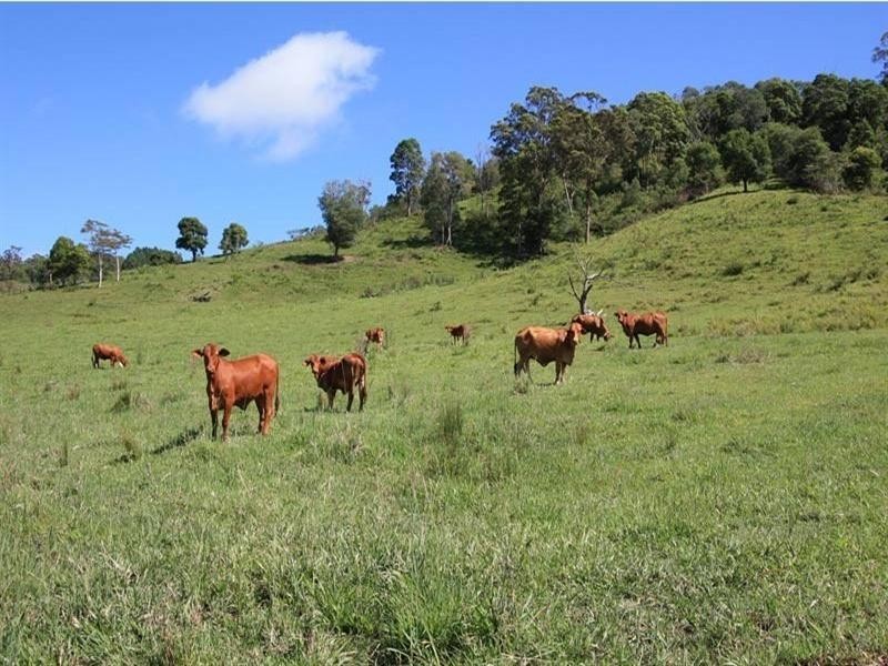 26 Jorgensen Road, Ridgewood QLD 4563