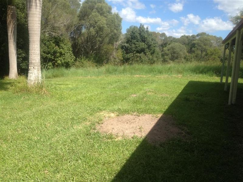 Black Mountain QLD 4563