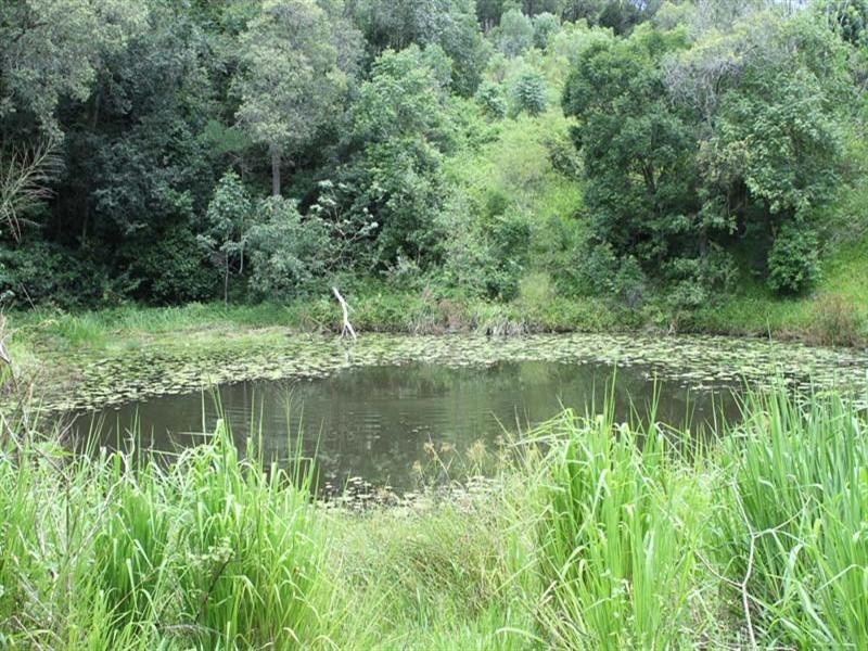 Eerwah Vale QLD 4562