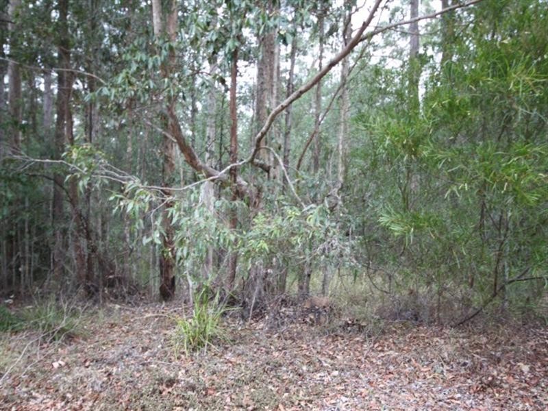 48 Woodcutter Rise, Pomona QLD 4568