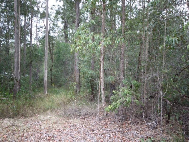 48 Woodcutter Rise, Pomona QLD 4568