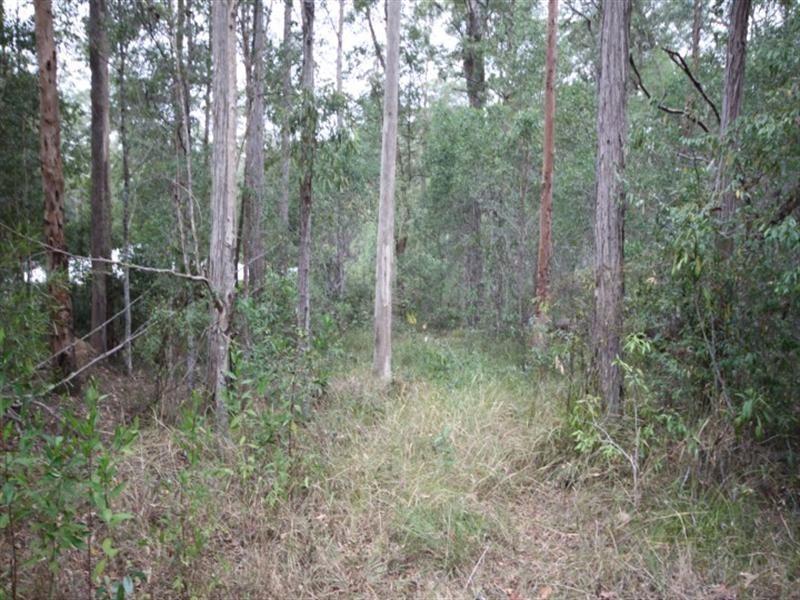 48 Woodcutter Rise, Pomona QLD 4568