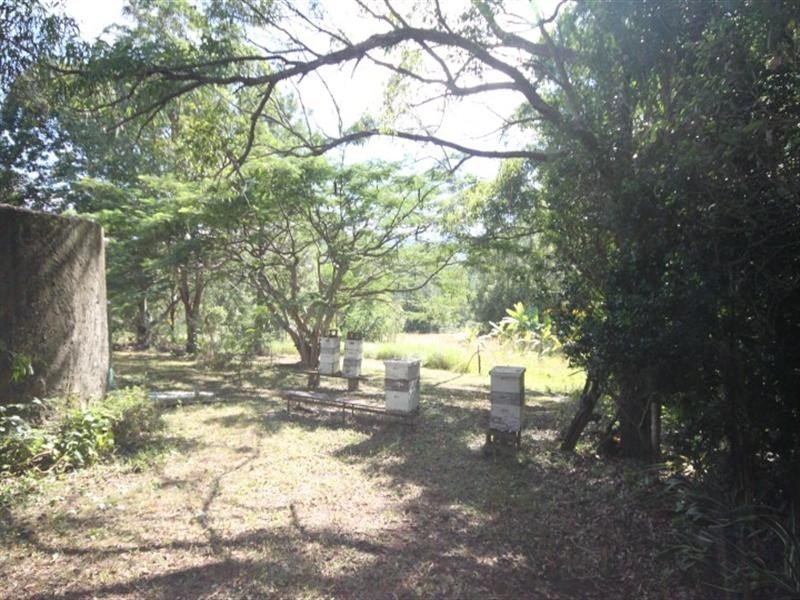 384 Happy Jack Creek Road, Cooroy QLD 4563