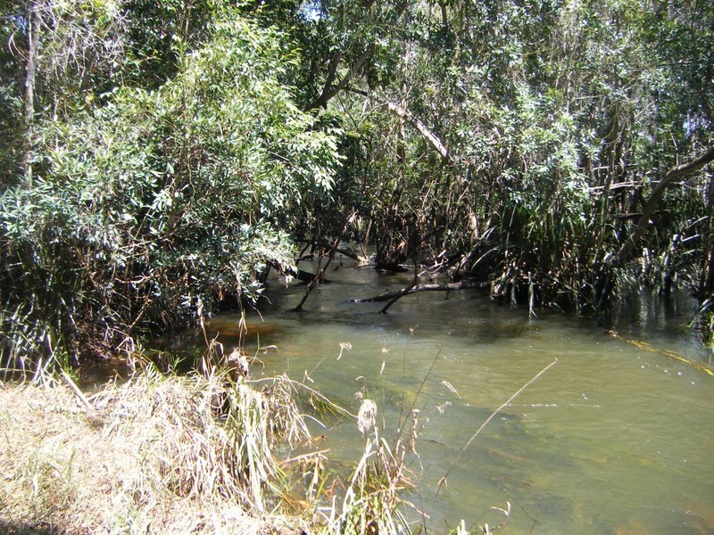 Lot 1 Bluff Road, Bilyana QLD 4854