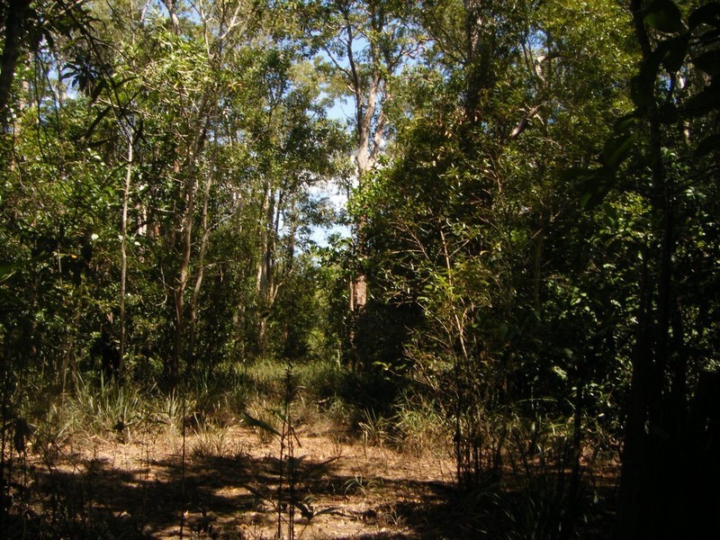 Lot 1 Bluff Road, Bilyana QLD 4854