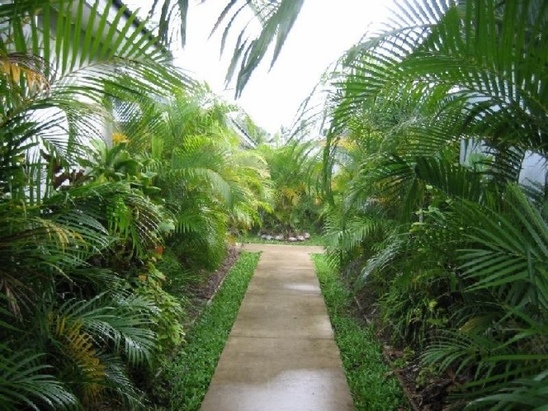 3/13 Toohey Street, Cardwell QLD 4849