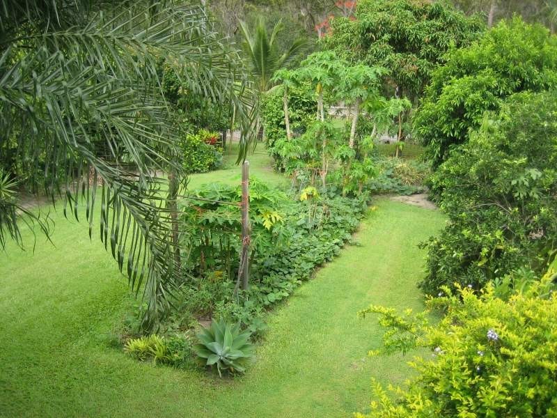 11 White Street, Cardwell QLD 4849