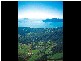 Lot 25 Cycad Crescent, Cardwell QLD 4849