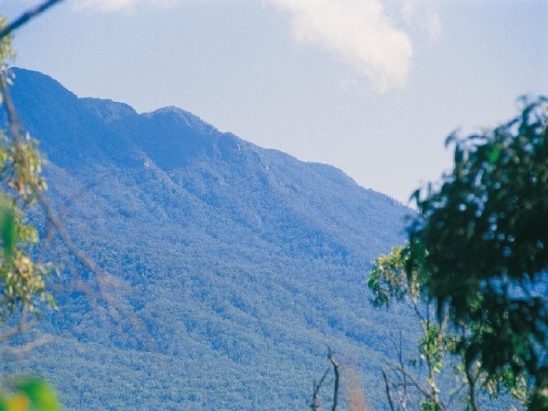 Lot 25 Cycad Crescent, Cardwell QLD 4849