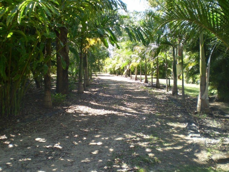 171 Stony Creek Road, Cardwell QLD 4849