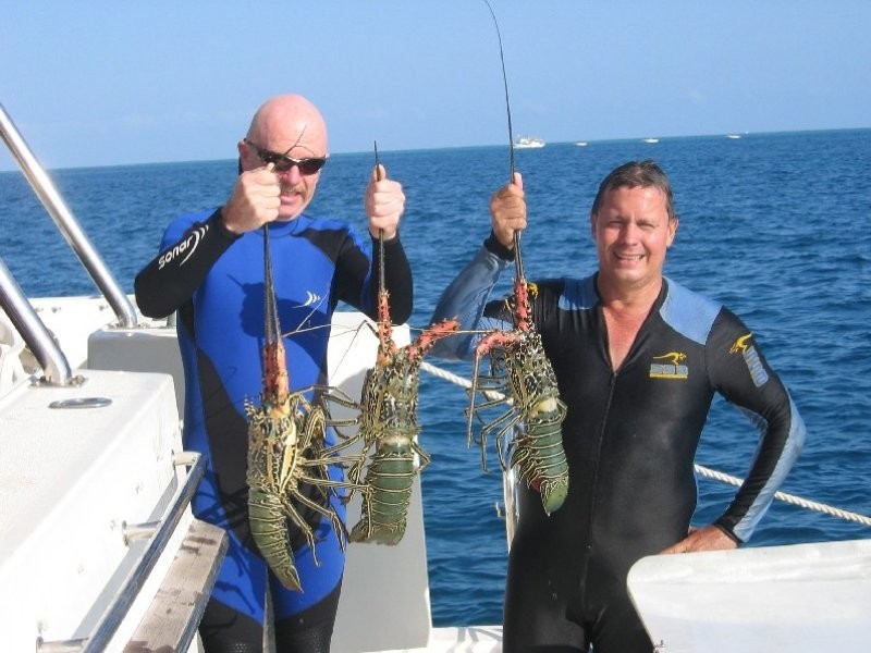 13 Poinciana Boulevard, Cardwell QLD 4849