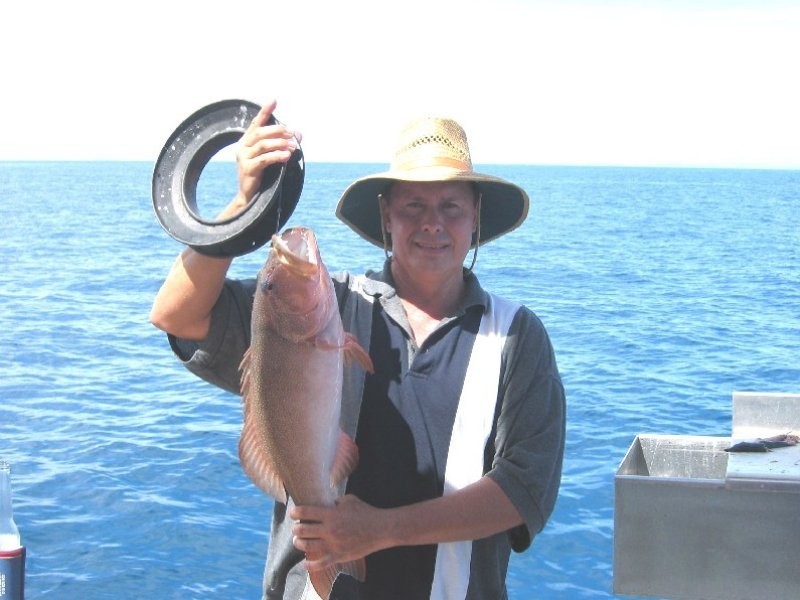 13 Poinciana Boulevard, Cardwell QLD 4849