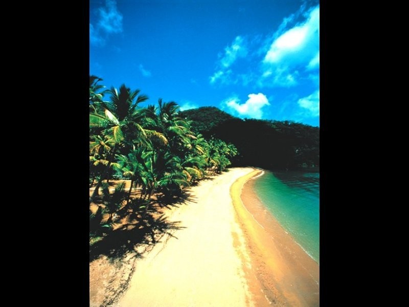 78 Keith Williams Drive, Cardwell QLD 4849