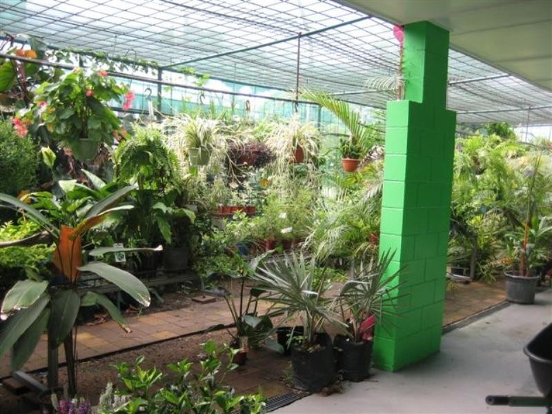 71 Victoria Steet, Cardwell QLD 4849