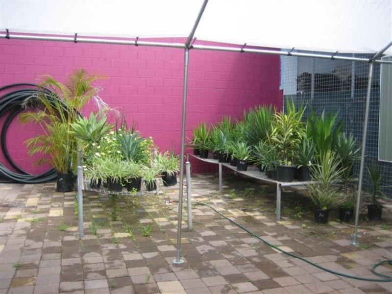 71 Victoria Steet, Cardwell QLD 4849