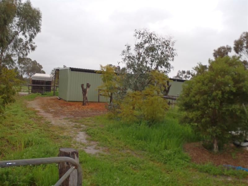 17 Review Street, Pingelly WA 6308