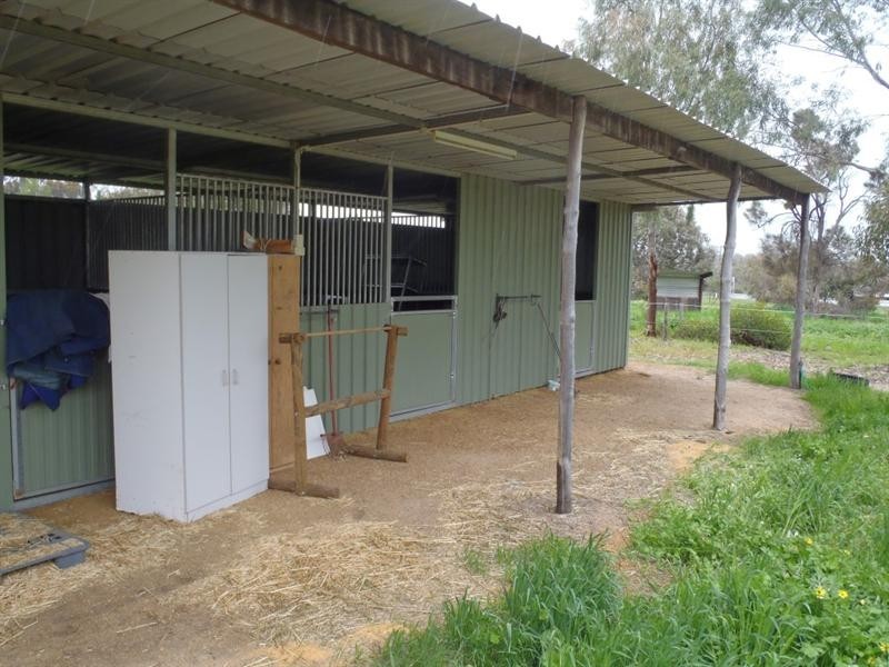 17 Review Street, Pingelly WA 6308