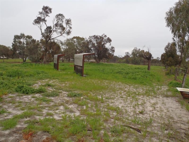 17 Review Street, Pingelly WA 6308