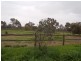17 Review Street, Pingelly WA 6308