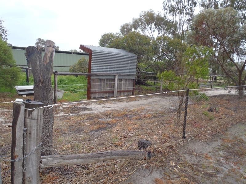 17 Review Street, Pingelly WA 6308