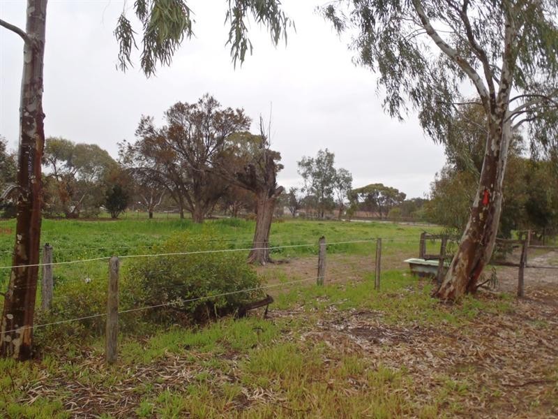 17 Review Street, Pingelly WA 6308